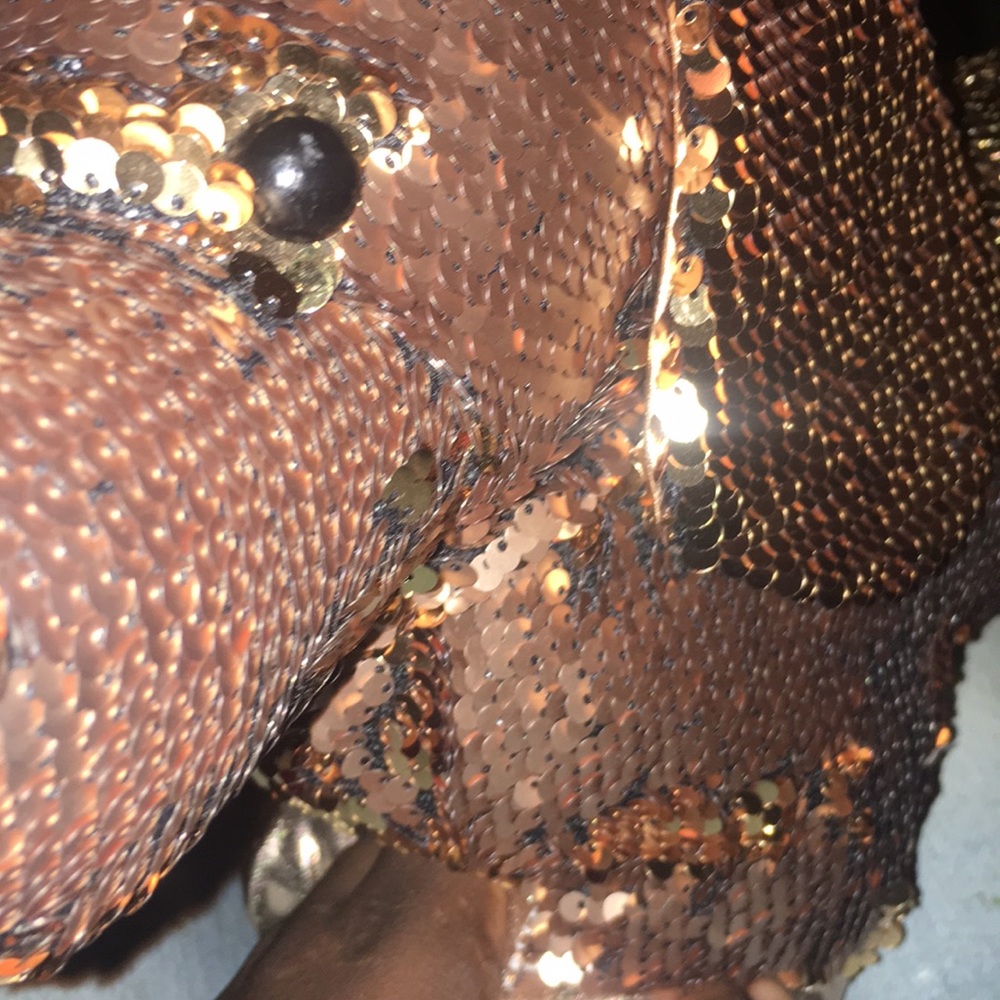 Gold PINK VS dog bear